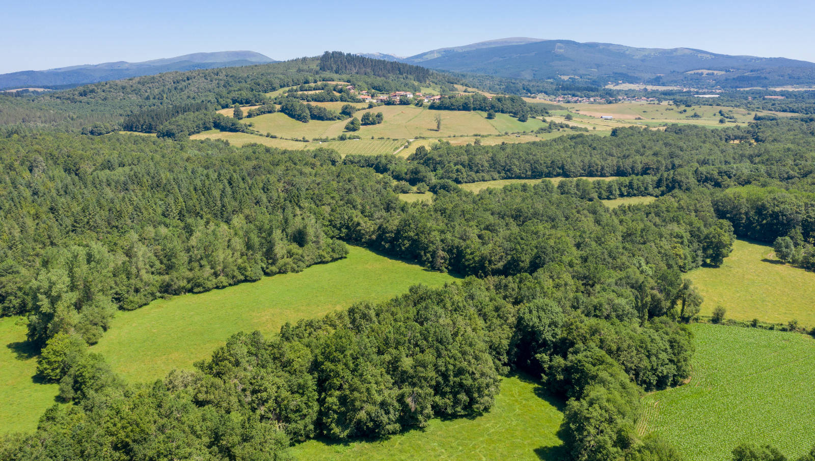 Ruta cercana